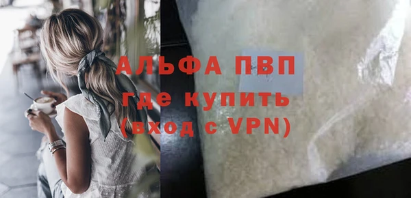 индика Алексин