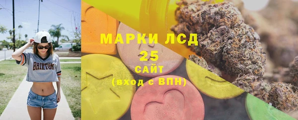 PSILOCYBIN Алзамай