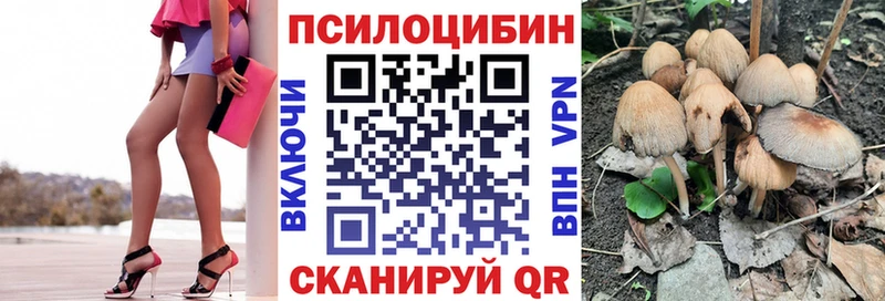 Псилоцибиновые грибы Cubensis  как найти наркотики  Инсар 