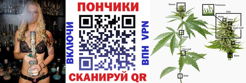 Бошки Шишки Amnesia  Инсар 